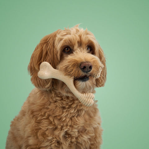 Image of BetterBone MEDIUM Durability CHEW TOY: Perfect Chew for Everyday Chewers | Natural Ingredients, Eco-Friendly, Non-Toxic