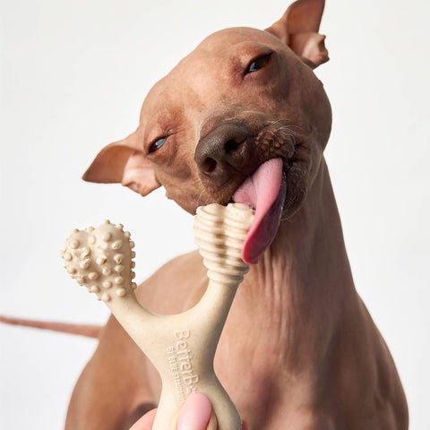 Image of BetterBone MEDIUM Durability CHEW TOY: Perfect Chew for Everyday Chewers | Natural Ingredients, Eco-Friendly, Non-Toxic