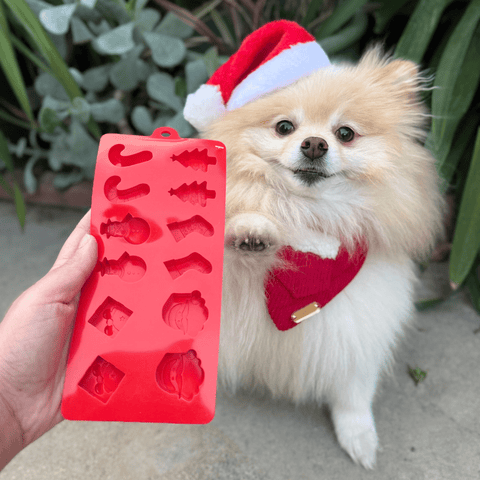 Image of Pet Treat Molds