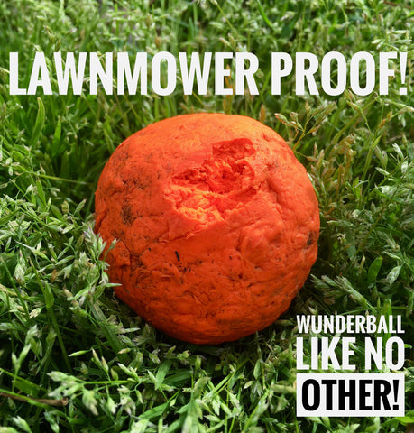 Image of WUNDERball - Best Fetch Toy
