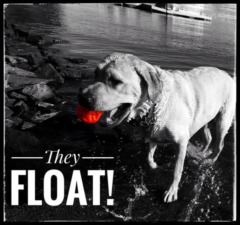Image of WUNDERball - Best Fetch Toy