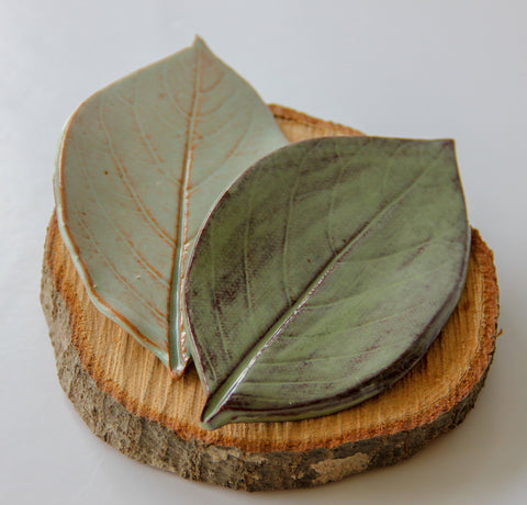 Image of Large Leaf Dish Soap