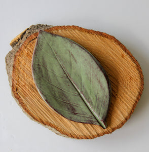 Large Leaf Dish Soap