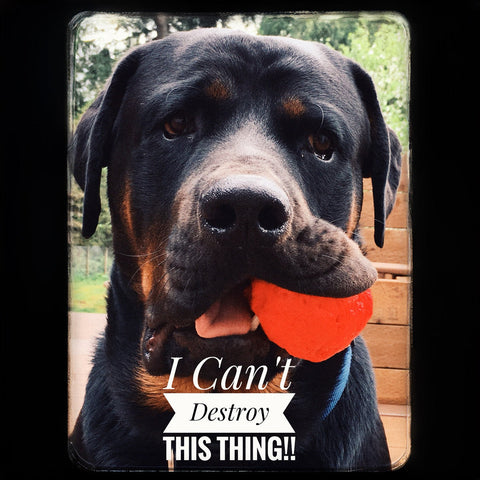 Image of WUNDERball - Best Fetch Toy