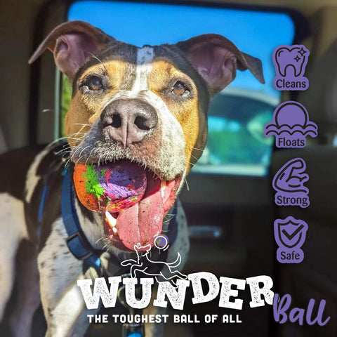 Image of WUNDERball - Best Fetch Toy