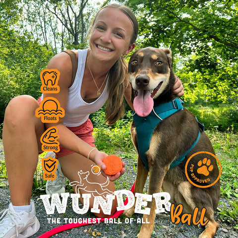 Image of WUNDERball - Best Fetch Toy