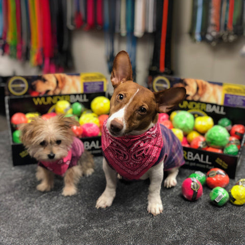 Image of WUNDERball - Best Fetch Toy
