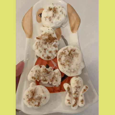 Image of Pet Treat Molds