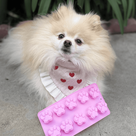 Image of Pet Treat Molds