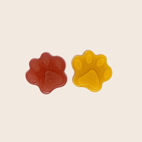 Image of Pet Treat Molds