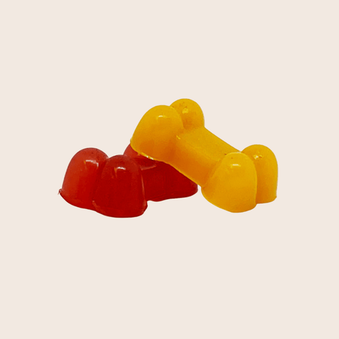 Image of Pet Treat Molds