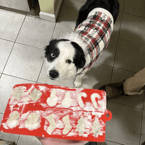 Image of Pet Treat Molds