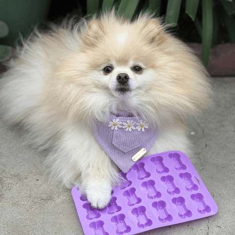 Image of Pet Treat Molds
