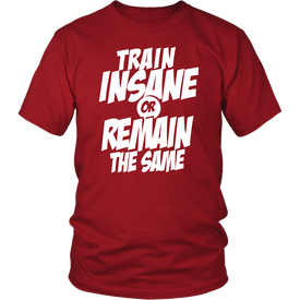 Train Insane Or Remain The Same